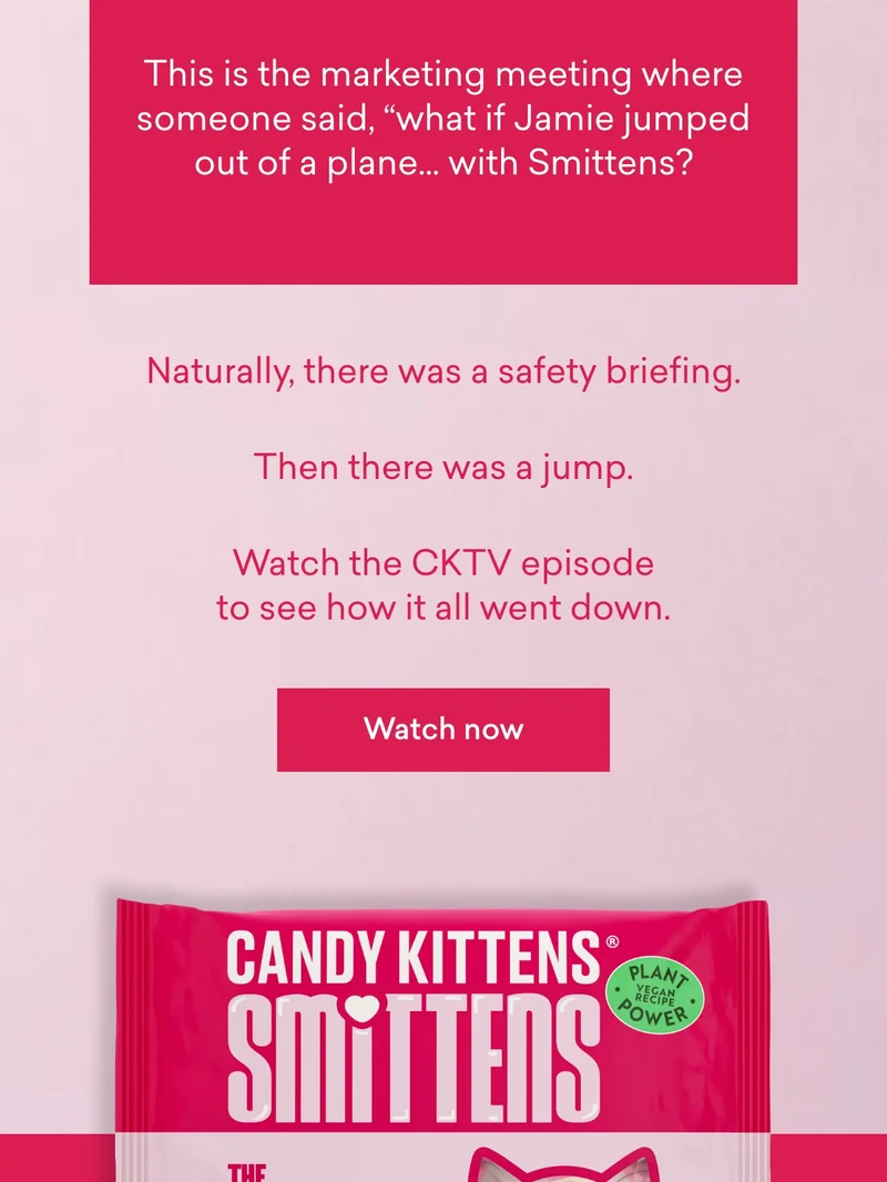 his is the marketing meeting where someone said, “what if Jamie jumped out of a plane… with Smittens?”