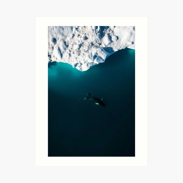regnumsaturni