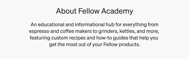 About Fellow Academy