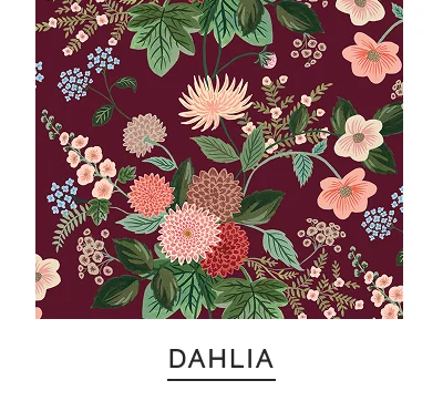 Shop Dahlia
