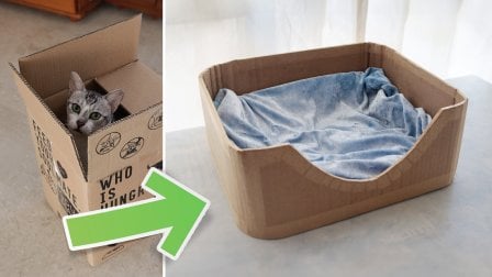 Create a Cozy Cat Bed from a Cardboard Box