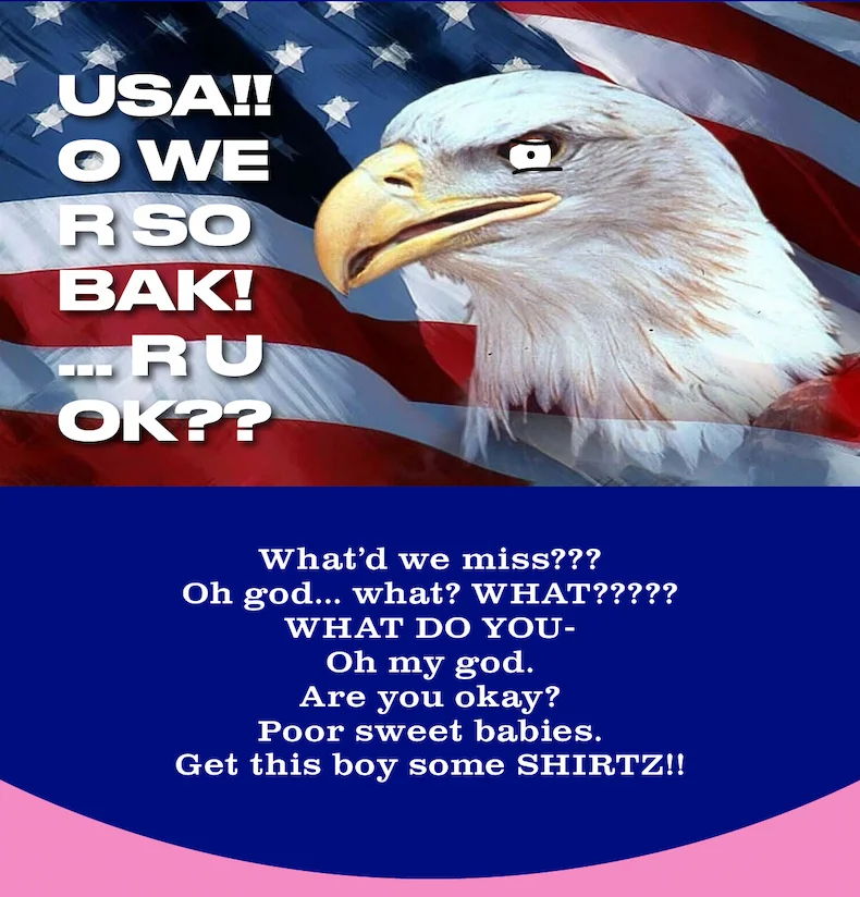 (picture of Eagle in front of American flag. the eagle looks worried. text reads 'USA!! O WE R SO BAK! ... R U OK???' and then 'What’d we miss??? Oh god... what? WHAT?????WHAT DO YOU- Oh my god. Are you okay? Poor sweet babies. Get this boy some SHIRTZ!!'