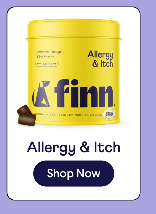 Allergy & Itch soft chew supplement | Shop Now –>
