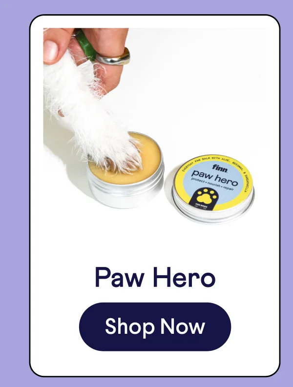 Paw Hero natural protective paw balm | Shop Now –>