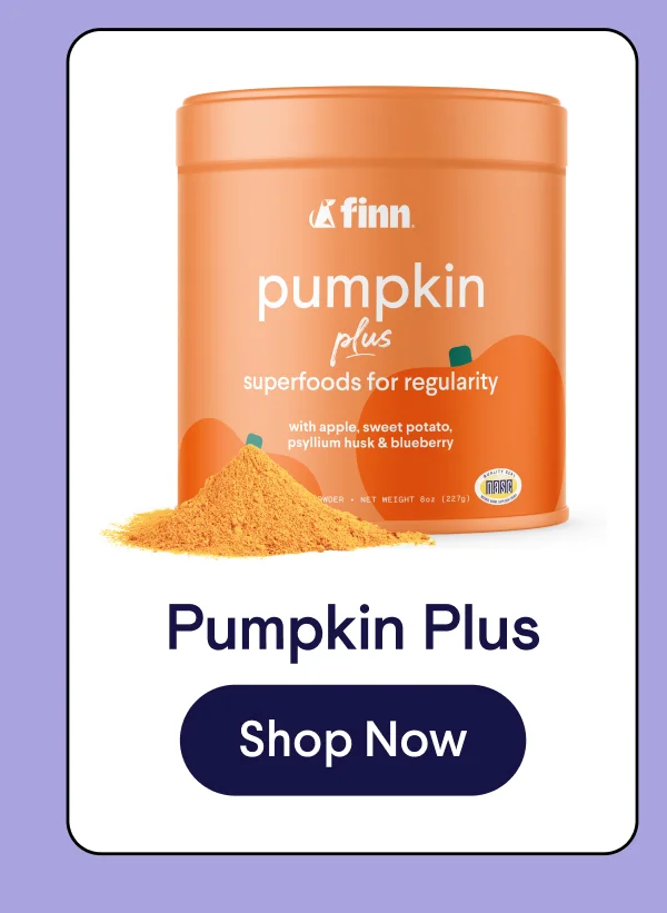 Pumpkin Plus superfoods meal topper powder for regularity | Shop Now –>