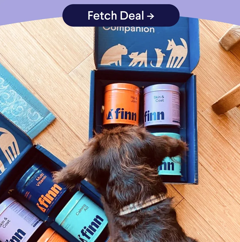 Fetch 20% Off EVERYTHING –>