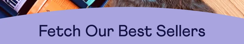 Fetch Our Best Sellers