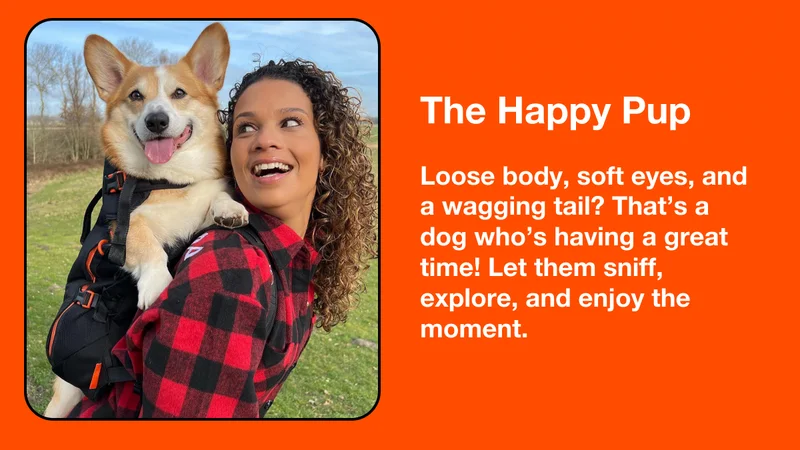 The Happy Pup