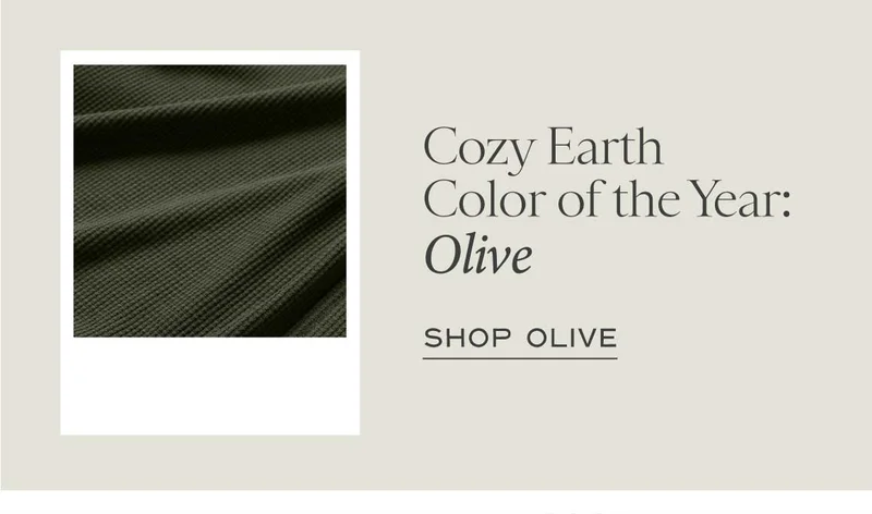 Shop Olive