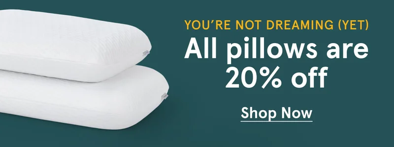 All pillows are 20% off | Shop Now
