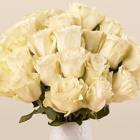 Featured Bouq: Glow-in-the-Dark Roses Featured Bouq: Glow-in-the-Dark Roses