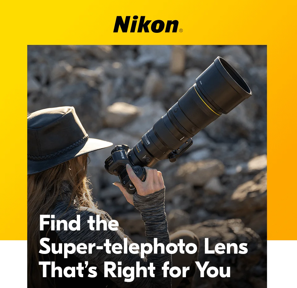 Nikon | Find the Super-telephoto Lens That’s Right for You