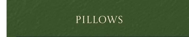 Shop Pillows