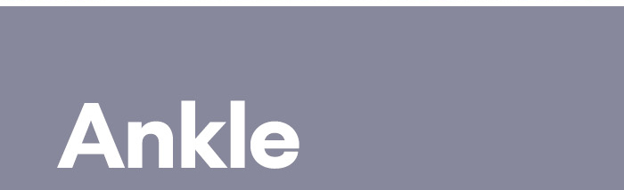 Ankle