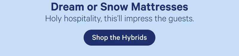 Dream or Snow Mattresses; Holy hospitality, this'll impress the guests.