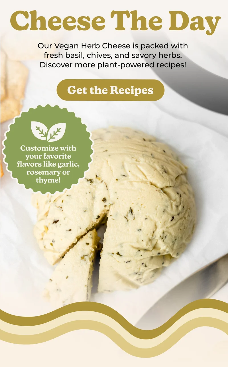 Cheese the day with our vegan recipes