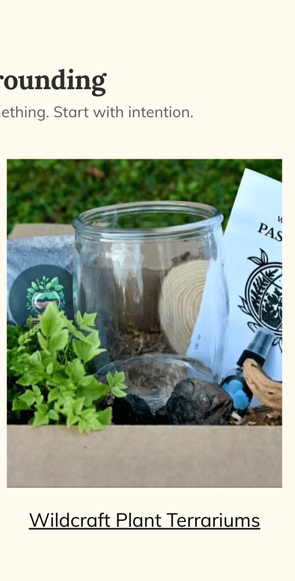 Wildcraft Plant Terrariums - Mystery DIY Subscription Box