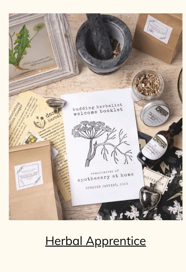 Herbal Apprentice Box Apothecary At Home