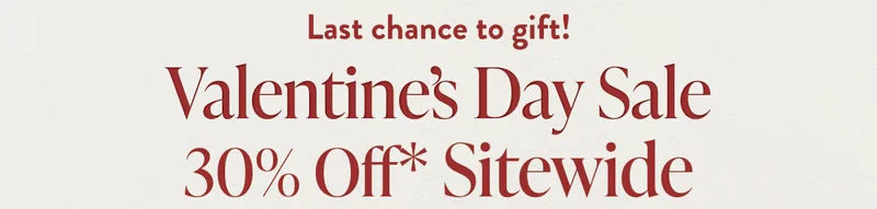 Valentine's Day Sale