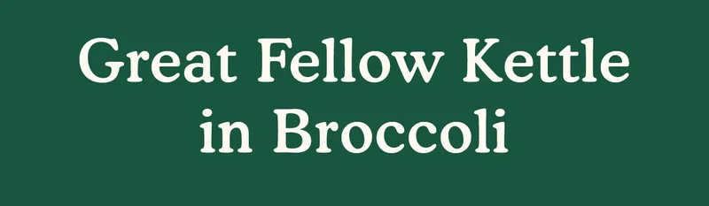 Great Fellow Kettle in Broccoli
