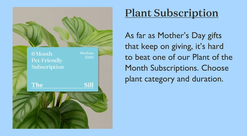 Plant Subscription: As far as Mother's Day gifts that keep on giving, it's hard to beat one of our Plant of the Month Subscriptions.