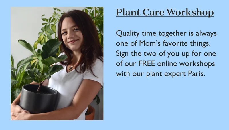 Plant Care Workshop: Quality time together is always one of Mom's favorite things.