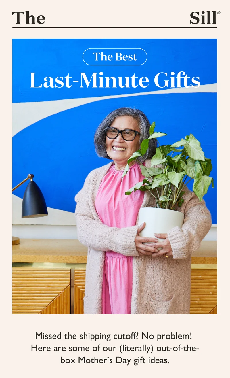 Missed the shipping cutoff? No problem! Here are some of our (literally) out-of-the-box Mother's Day gift ideas.