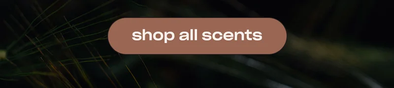 shop all scents