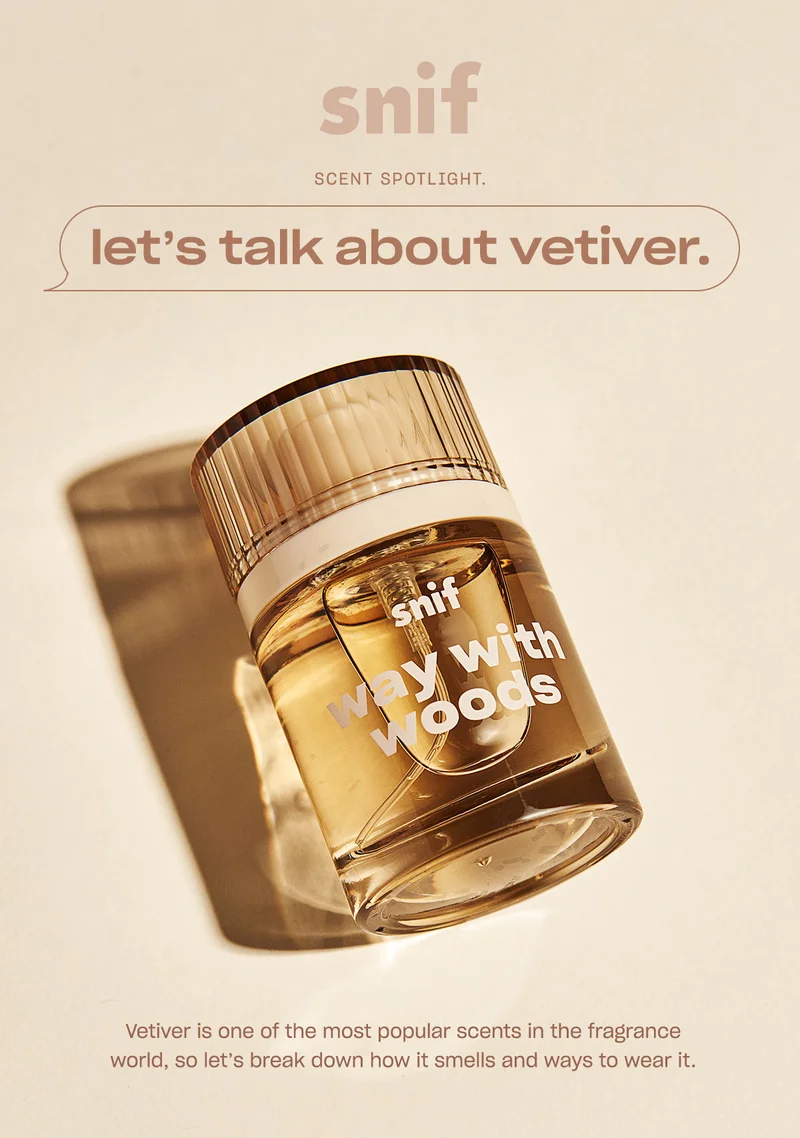 scent spotlight. let’s talk about vetiver. Vetiver is one of the most popular scents in the fragrance world, so let’s break down how it smells and ways to wear it.