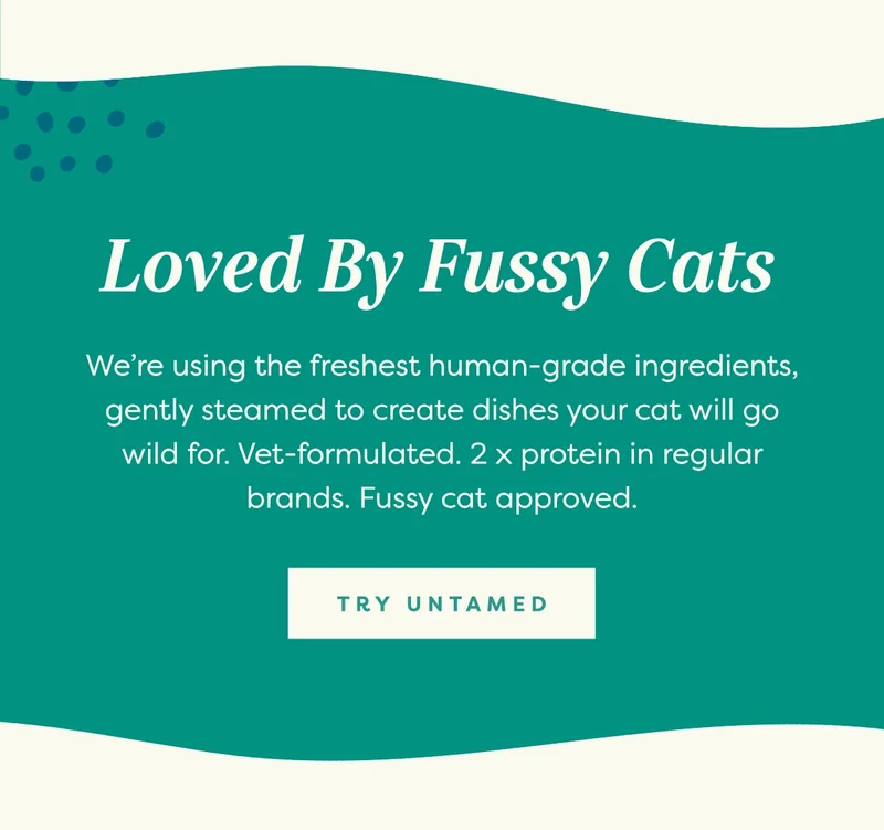 Loved by Fussy Cats