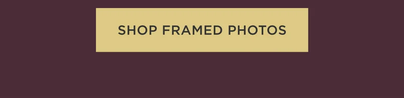 Shop Framed Photos