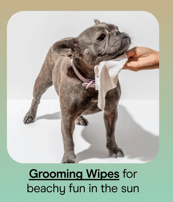 Grooming Wipes for beachy fun in the sun