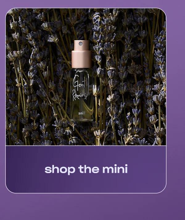 Shop the mini