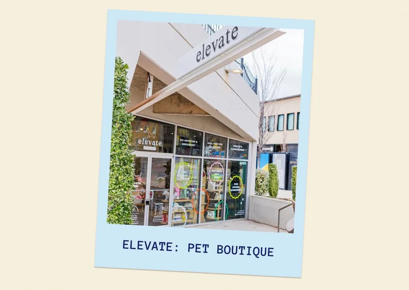 Elevate: Pet Boutique