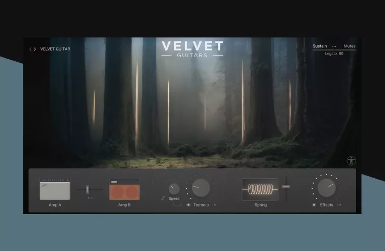 Velvet Guitars