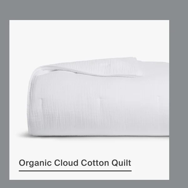 Shop Organic Cloud Cotton Quilt