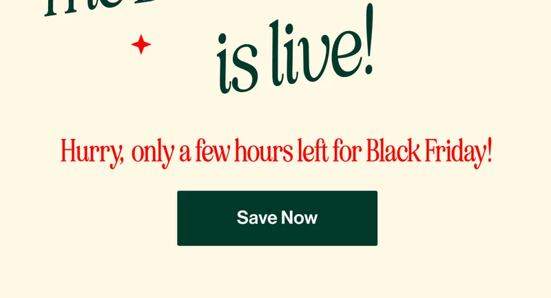 Hurry,  only a few hours left for Black Friday! Save Now