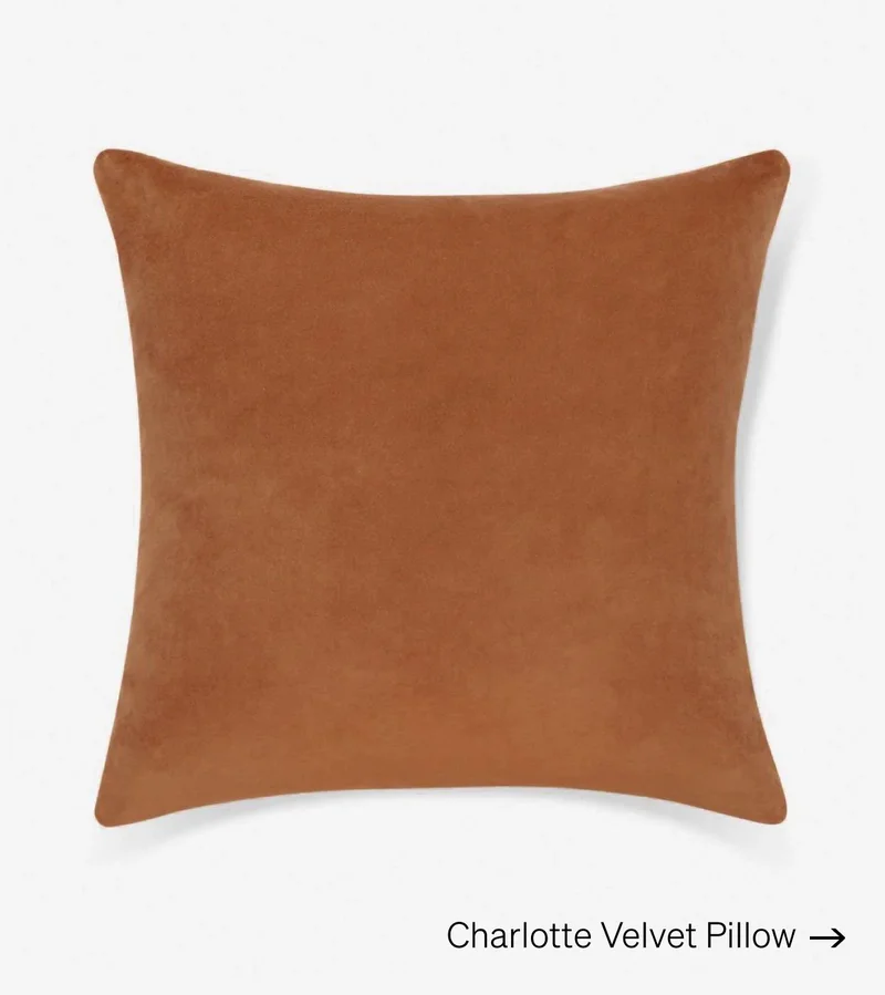 Shop Charlotte Velvet Pillow