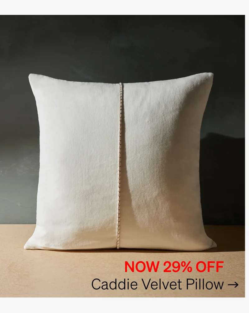 Shop Caddie Velvet Pillow
