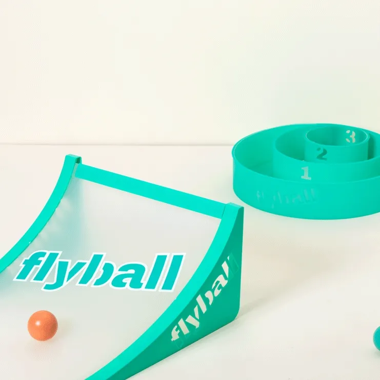 Flyball Lawn and Beach Game