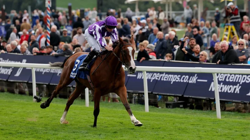 Betting the 2025 Breeders' Cup: Longines Turf