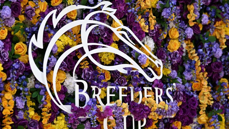 Betting the 2025 Breeders' Cup: Best bets