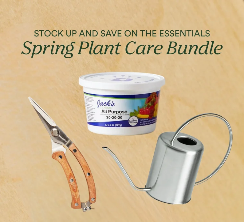 spring plant care bundle