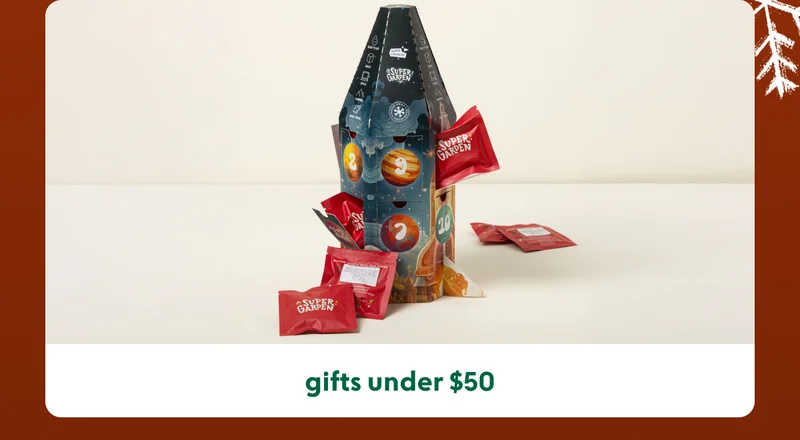 christmas-gifts-under-50