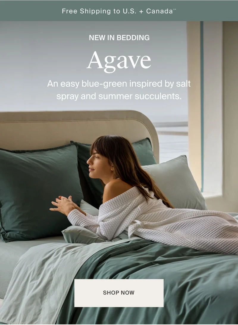 Introducing: Agave