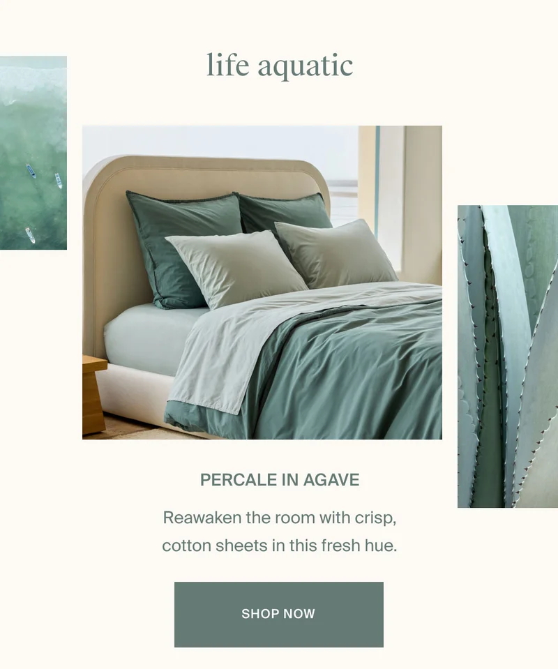 Shop Percale in Agave