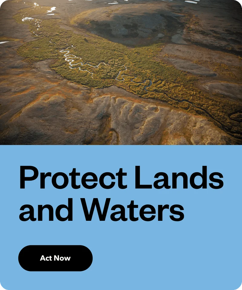 Protect lands and waters. Act now.