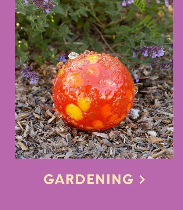 Display images to show real-time content