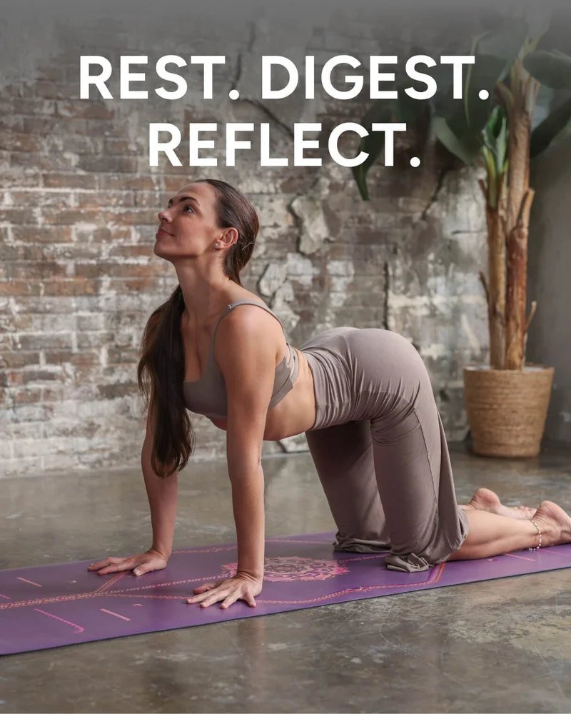 Rest. Digest. Reflect.