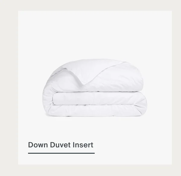 Down Duvet Insert